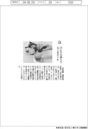 太田油脂/4.8gの小袋入りえごまオイル