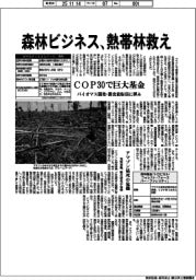 COP30で巨大基金 森林ビジネスで熱帯林救え