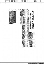 パナHD、ガラス型ペロブス電池を前倒しで29年本格量産