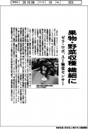 ゼラ・ロボ、AI触覚センサー 果物・野菜収穫 繊細に