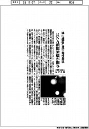 大阪公立大など、DNA鎖間架橋が関与示唆 腸内細菌の遺伝毒性発現