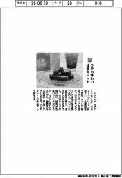 シュクレイ/ラテの味わい 抹茶ガレット