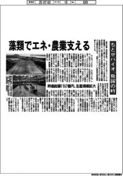 藻類でエネ・農業を支える ちとせバイオ、飛躍の時