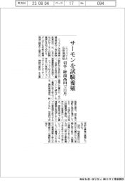 ニッスイと広田湾漁協、サーモンを試験養殖 岩手・陸前高田で11月