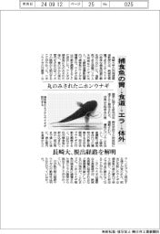 長崎大、丸のみされたニホンウナギ 捕食魚の胃→食道→エラ→体外 脱出経路を解明