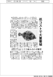 “高級”ホシガレイ稚魚、低コストで大量養殖 全国豊かな海づくり推進協会など8機関