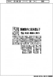 慶応大が解明、脳細胞内に抗体遺伝子 発達・機能に関与