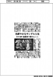 丸中工業所、色鮮やかなサンダル人気 漁業用で滑りにくく