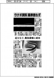 近大など、ウナギ飼料に鶏卵使わず 稚魚養殖に成功