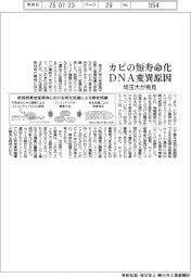 カビの短寿命化、DNA変異が原因 埼玉大が発見