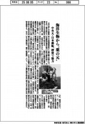 中央大・日本郵船、海洋生物から「薬の元」探索