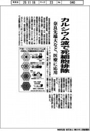 奈良先端大など、カルシウム波で死細胞排除 医療に応用