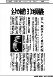 東大、全身の細胞3D地図構築 臓器またぐ変化把握