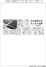DIC、食用藻類培養の米工場を稼働 12億円投資