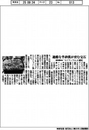過酷な半砂漠が育む宝石「コノフィツム」 植物園協会がナショナルコレクション認定