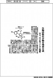 名大、分子性ラジカル触媒開発 生物活性化合物を効率合成