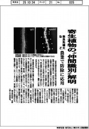 奈良先端大など、寄生植物の「仲間識別」解明 農業で防除に応用