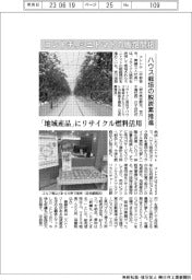 コレトチ、ミニトマトの販路開拓 ハウス栽培の脱炭素推進 「地域産品」にリサイクル燃料活用