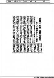 阪大、腎臓の病変を高精度検出 生検画像をAI解析