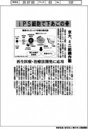 京大、iPS細胞で下あごの骨のミニ組織作製