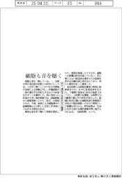 細胞も音を聞く 京大、遺伝子活性化など確認