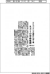 千葉大など、ミトコンドリア活性たんぱく質がネズミの寿命延伸