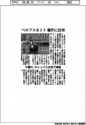 千葉大、ペロブスカイトを稲作に活用 キャンパス水田で検証