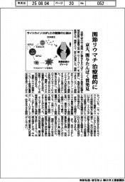 京大、関節リウマチ 治療標的に 関与たんぱく質発見