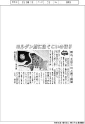 2025EXPO/ヨルダン館に泳ぐこいのぼり 堺市、全長5m万博で掲揚