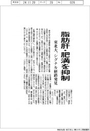 東北大、脂肪肝・肥満を抑制 シグナル経路を発見