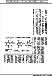 京大など、RNAの紫外線損傷を解明 ねじれ中間体が水和反応