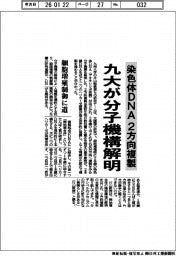 九大、染色体DNAの2方向複製の分子機構解明 細胞増殖制御に道
