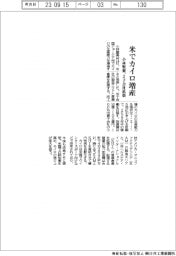 小林製薬、米でカイロ増産 2子会社拡張