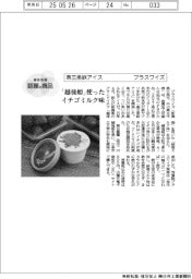 個性発信・話題の商品/燕三条鉄アイス プラスワイズ