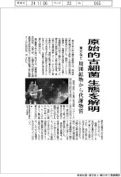 東大など、原始的古細菌の生態解明