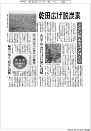 乾田広げ脱炭素 メタン抑えるコメづくり