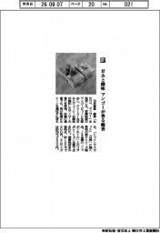 日本香堂/甘みと酸味 マンゴーが香る線香