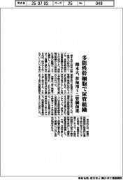 熊本大、多能性幹細胞で尿管組織 移植用ミニ腎臓前進
