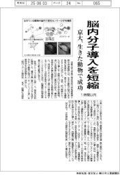 京大、脳内分子導入を1時間以内に短縮 生きた動物で成功