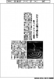 阪大、DNAその場で読み取り ナノデバイス開発
