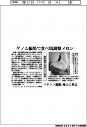 農研機構・筑波大など、ゲノム編集で食べ頃調整メロン開発