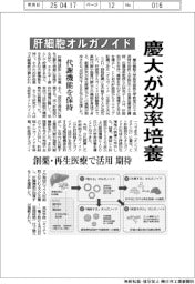 慶大が肝細胞オルガノイドを効率培養 代謝機能を保持 創薬・再生医療で活用期待