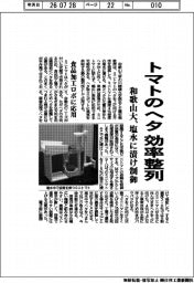 和歌山大、トマトのヘタを効率整列 塩水に漬け制御