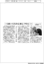九大、三毛猫の毛色決定遺伝子特定 「オレンジ」、X染色体に欠失