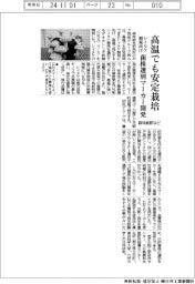 森林総研など、高温に強いシイタケ安定栽培 菌株選別マーカー開発
