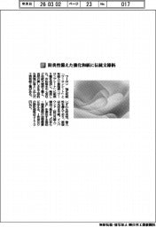 ワーロン/防炎性備えた強化和紙に伝統文様柄