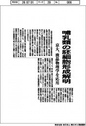 京大、哺乳類の胚細胞形成解明　液晶物理学を応用