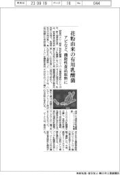 アピ、花粉由来の有用乳酸菌　機能性食品原料に