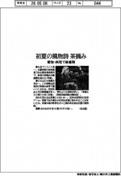 初夏の風物詩茶摘み　愛知・西尾で最盛期