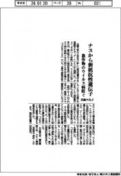 近畿大など、農作物のウイルス病防ぐ　ナスから新抵抗性遺伝子を発見